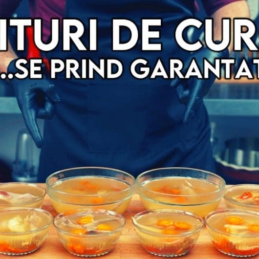 Răcituri de Curcan de Țară | Piftie de Curcan | Rețetă Piftie de Curcan